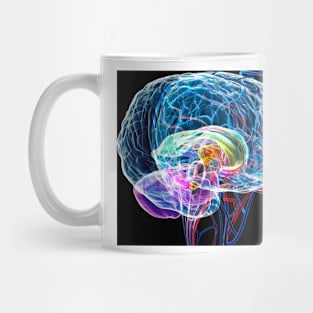 Brain anatomy, artwork (F003/0042) Mug